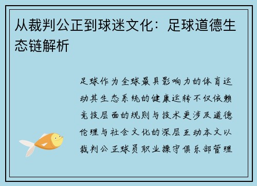 从裁判公正到球迷文化：足球道德生态链解析