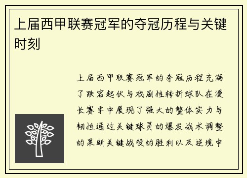 上届西甲联赛冠军的夺冠历程与关键时刻
