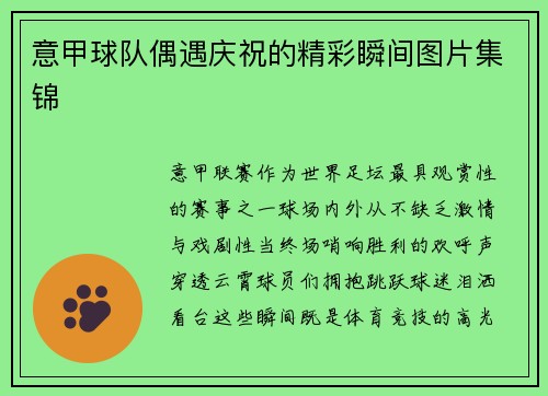 意甲球队偶遇庆祝的精彩瞬间图片集锦